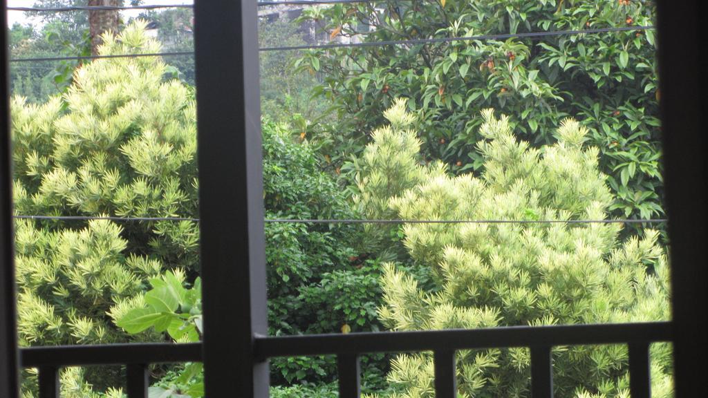 Suliko Guest House Batum Dış mekan fotoğraf