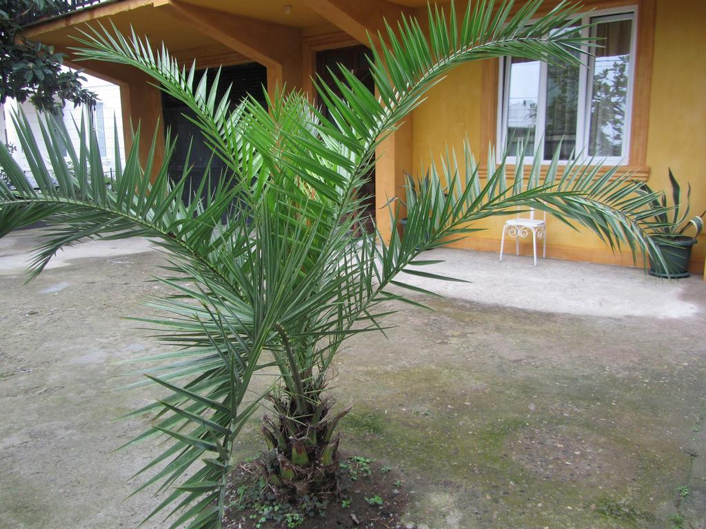Suliko Guest House Batum Dış mekan fotoğraf