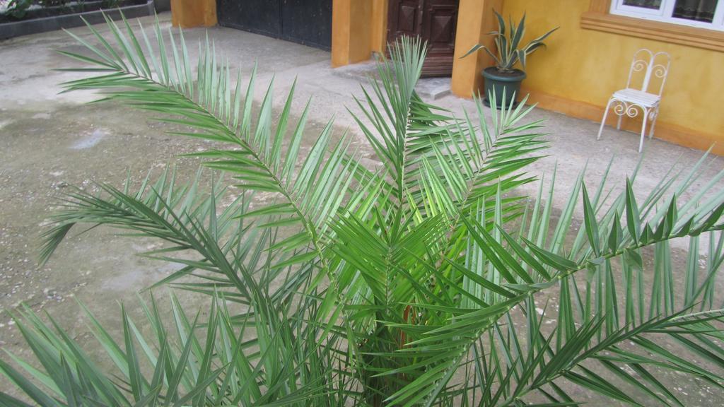 Suliko Guest House Batum Dış mekan fotoğraf
